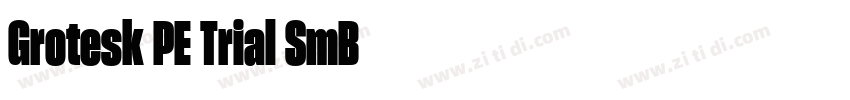Grotesk PE Trial SmB字体转换